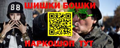 a pvp Камышлов