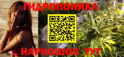 mdpv Кандалакша