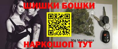 a pvp Камышлов