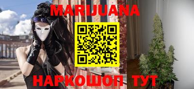 a pvp Камышлов