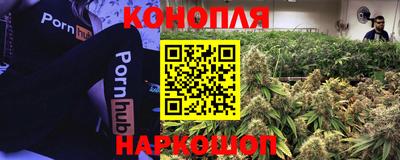 a pvp Камышлов