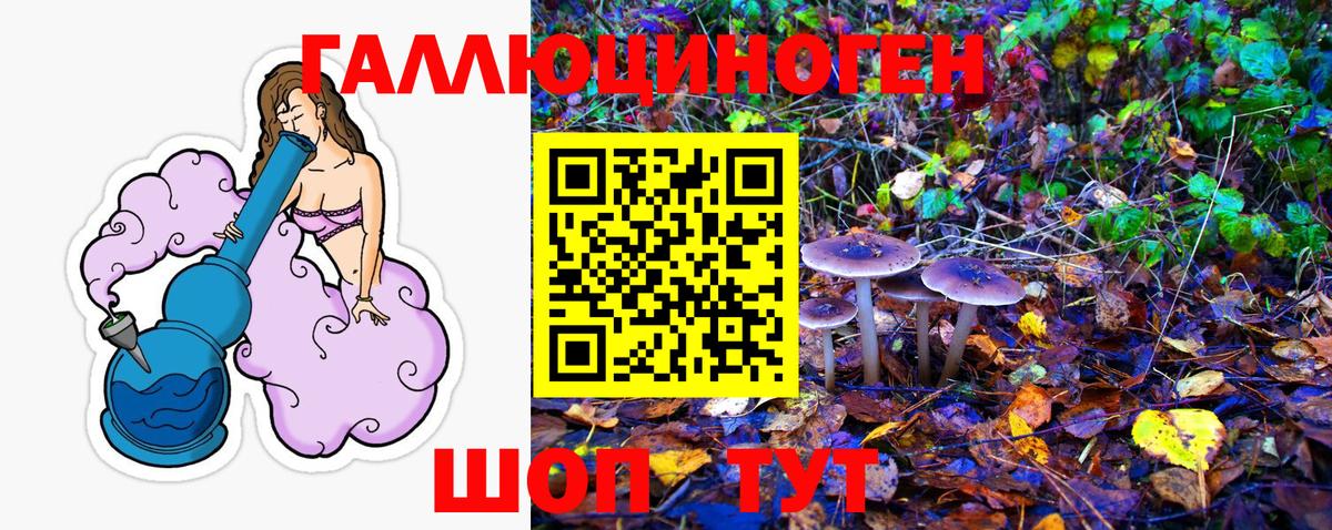 Галлюциногенные грибы прущие грибы  Вход с VPN  Обь 
